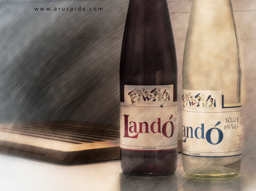 Bodegas Aruspide景点图片