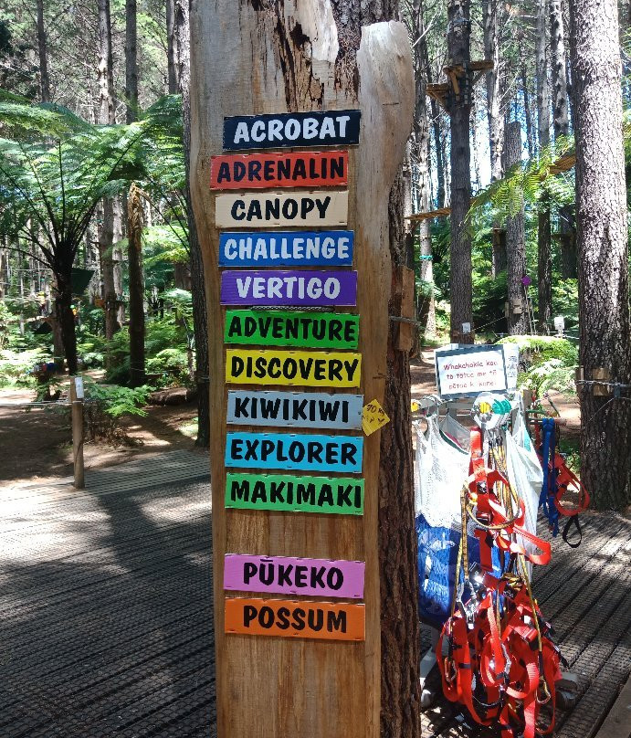 Adventure Forest景点图片