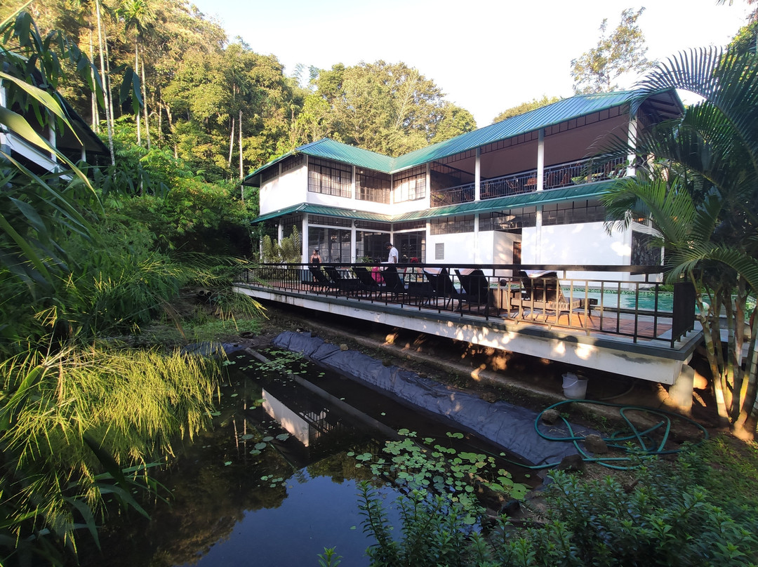 Wayanad Coffee Trail Resort主图