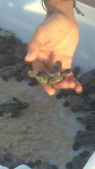 Pousada O Forte主图