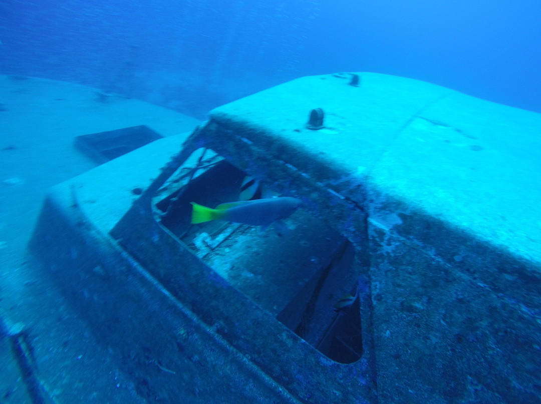 Manta Isrotel Diving Centre景点图片