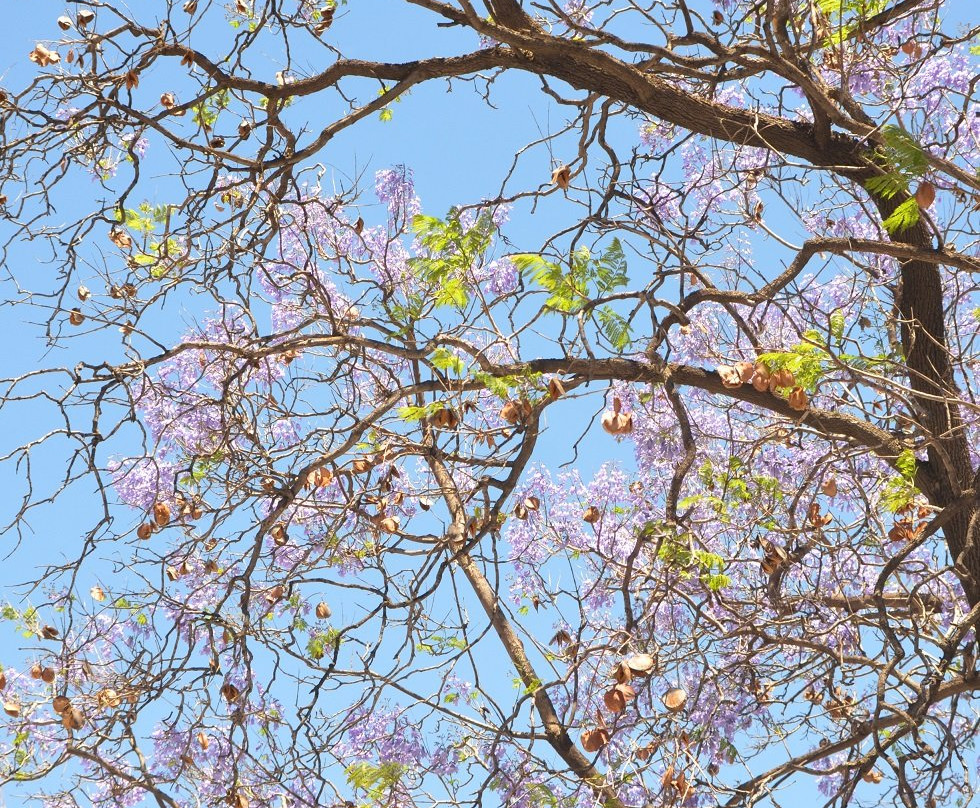 The Reinet House-格拉夫-里内特必去景点