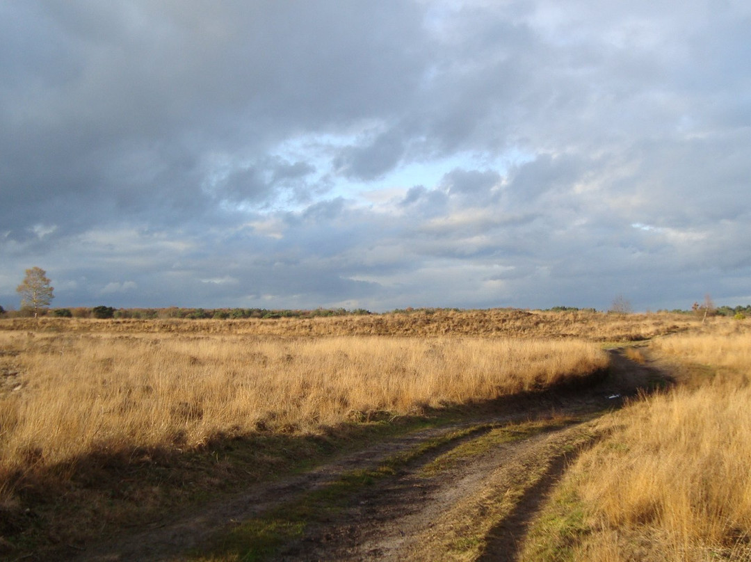 Natuurgebied Holtingerveld-Uffelte必去景点