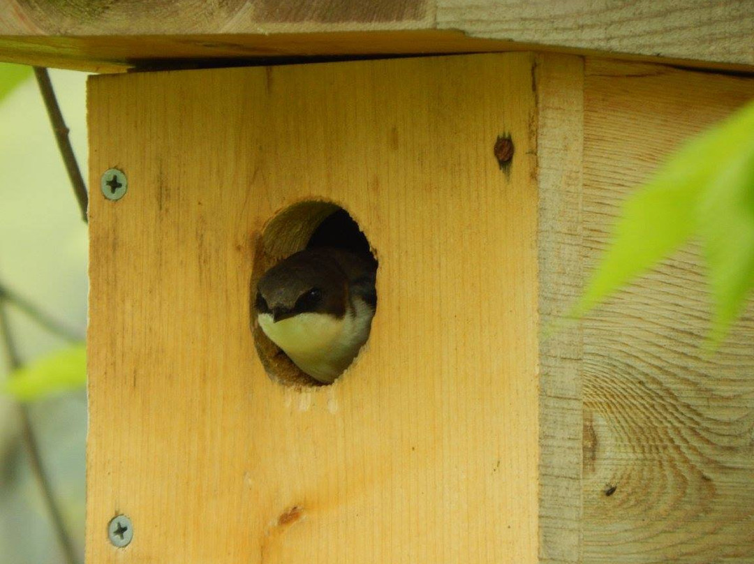 River Edge Bed and Breakfast & Gathering Place主图