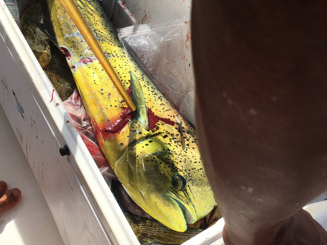 Nosara Sea Saw Tours-Garza必去景点