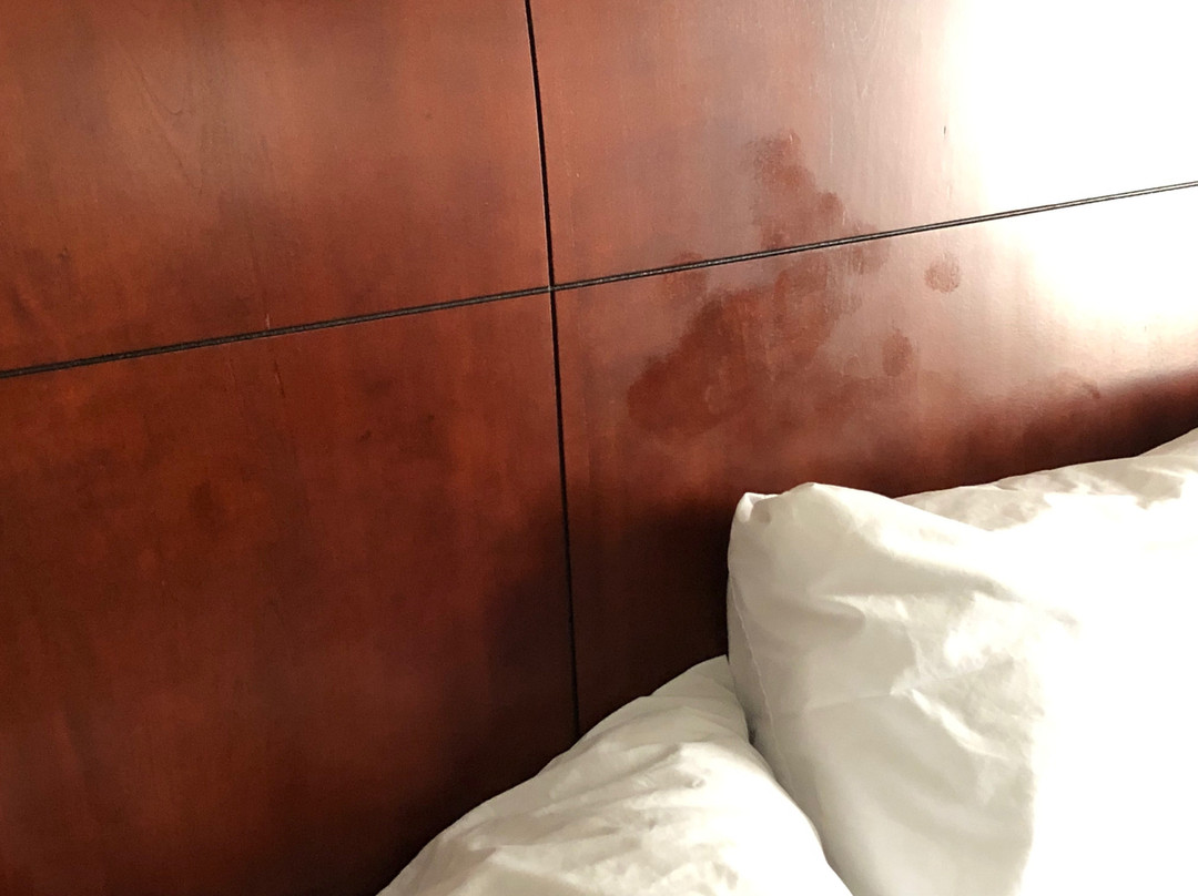 美世大学希尔顿花园酒店主图