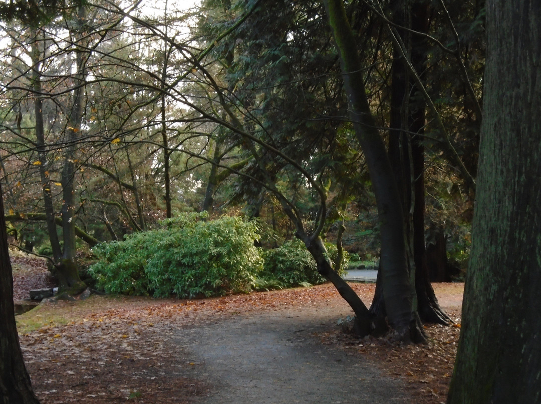 Friendship Gardens & Tipperary Park景点图片