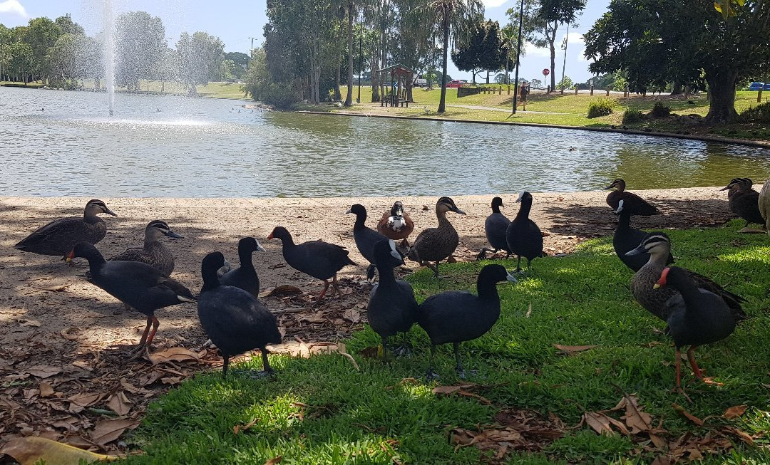 Caboolture Riverlakes Motel主图