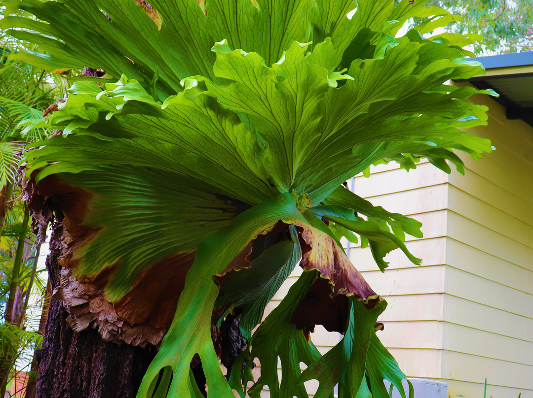 Yarrawarra Aboriginal Cultural Centre-Corindi必去景点