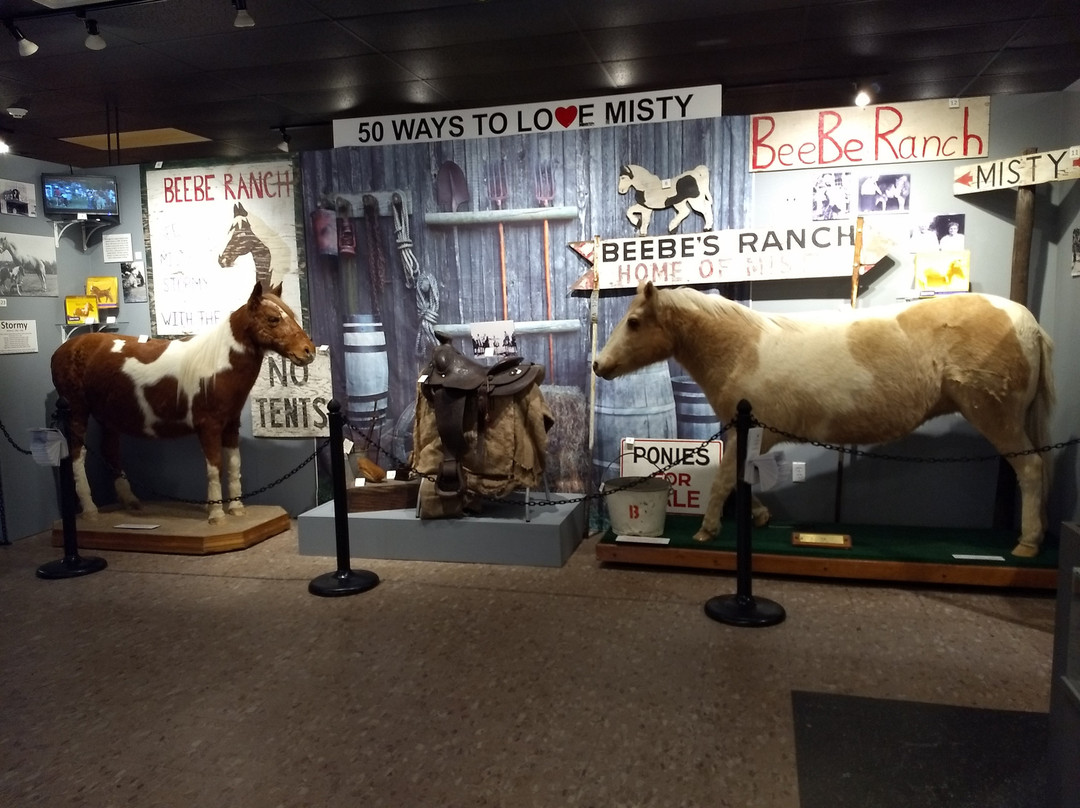 Museum Of Chincoteague Island景点图片