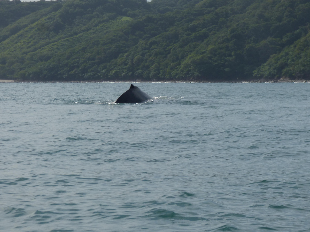 Salinas Bay Research Center-El Jobo必去景点