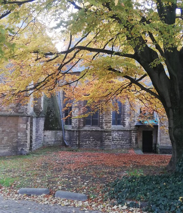 Brussels Greeters-布鲁塞尔必去景点