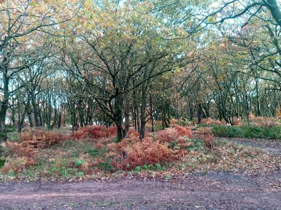 Pex Hill Nature Reserve-威德尼斯必去景点