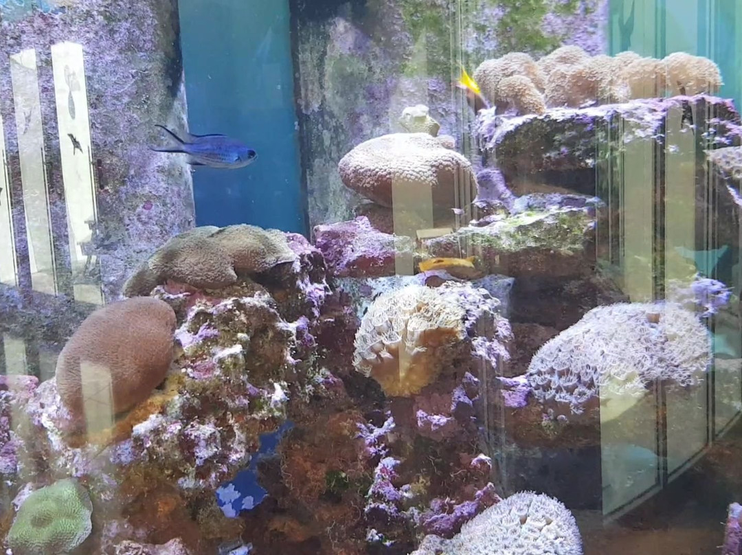 Florida Keys Eco-Discovery Center-基韦斯特必去景点