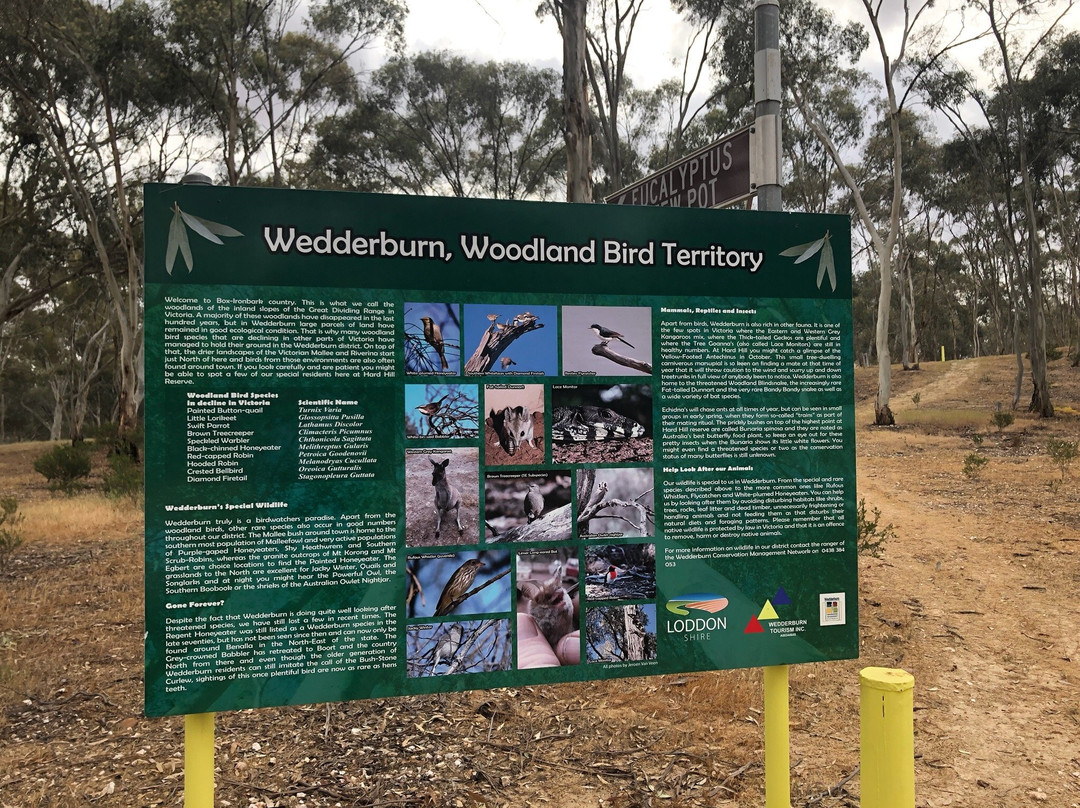 Hard Hill Tourist Reserve-Wedderburn必去景点