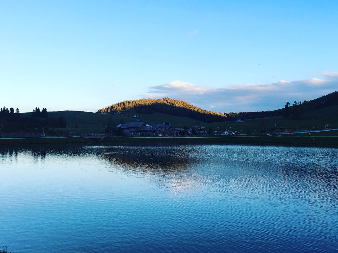 Almgasthof Hotel Teichwirt主图