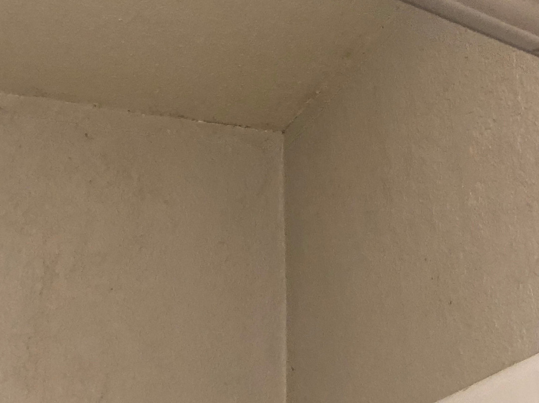 La Quinta Inn & Suites by Wyndham Buena Park主图