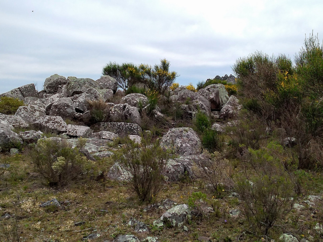 Sierra del Tigre Natural Reserve景点图片