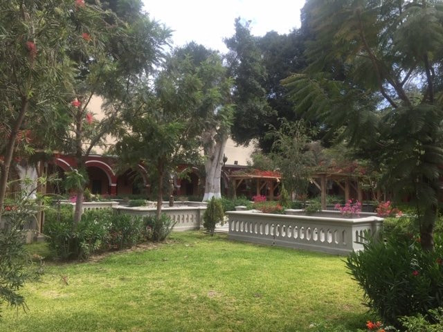 DM Hoteles Mossone Ica主图