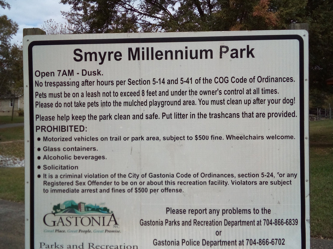 Smyre Millenium Park景点图片