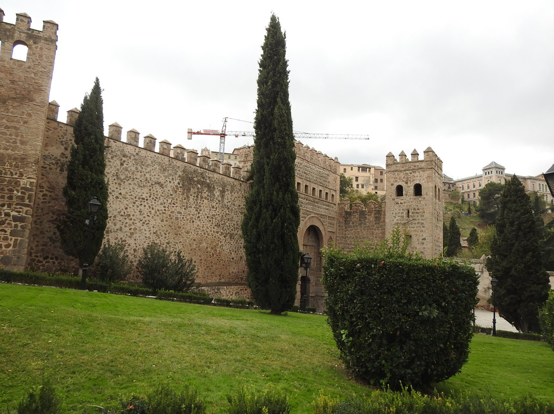 Puerta de Alfonso VI景点图片