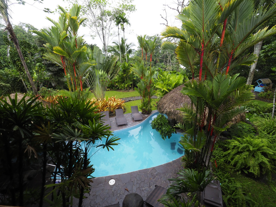 Hotel Banana Azul主图