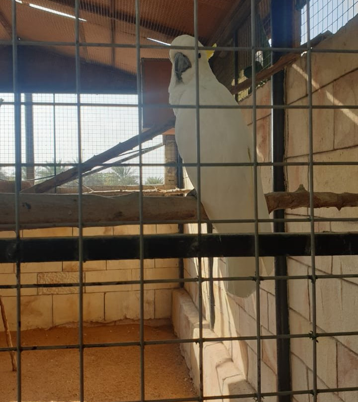 Emirates Park Zoo & Resort主图