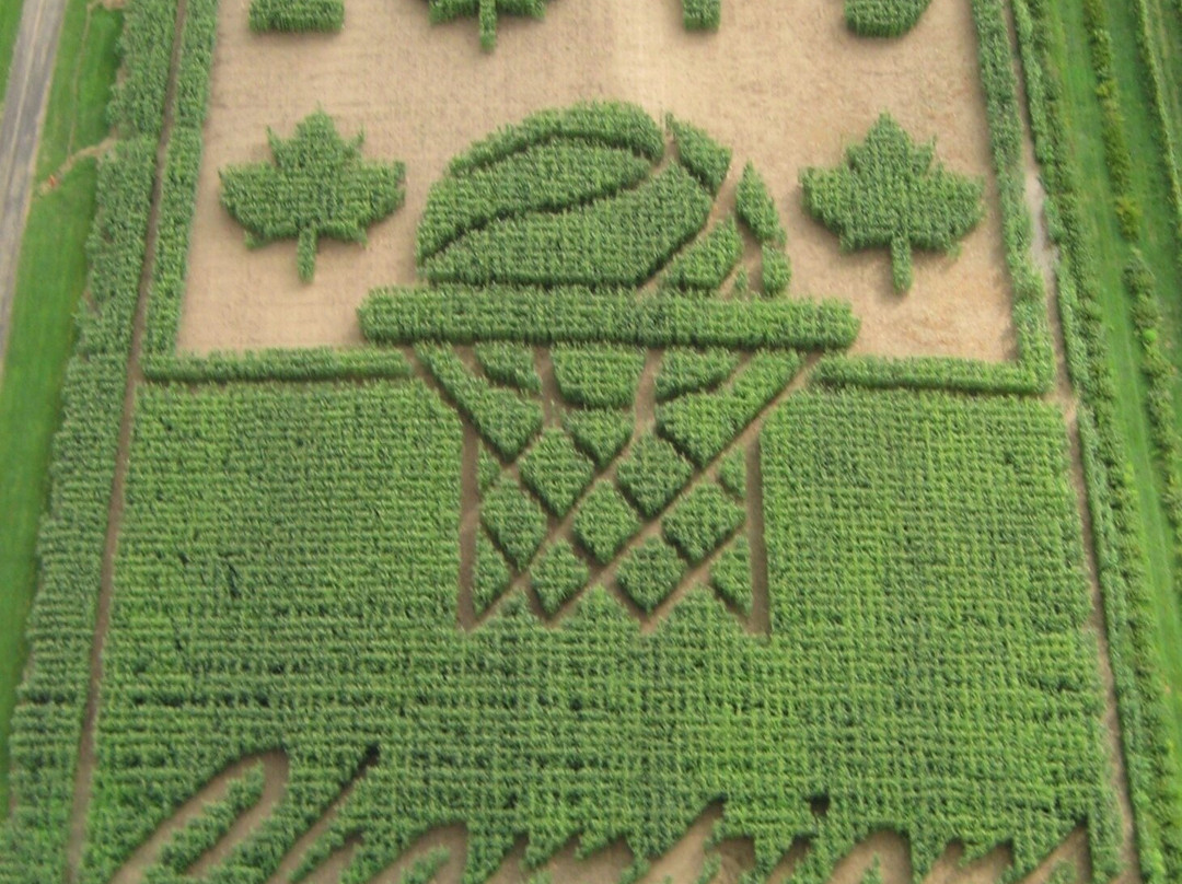 Lindley’s Farm & Market景点图片