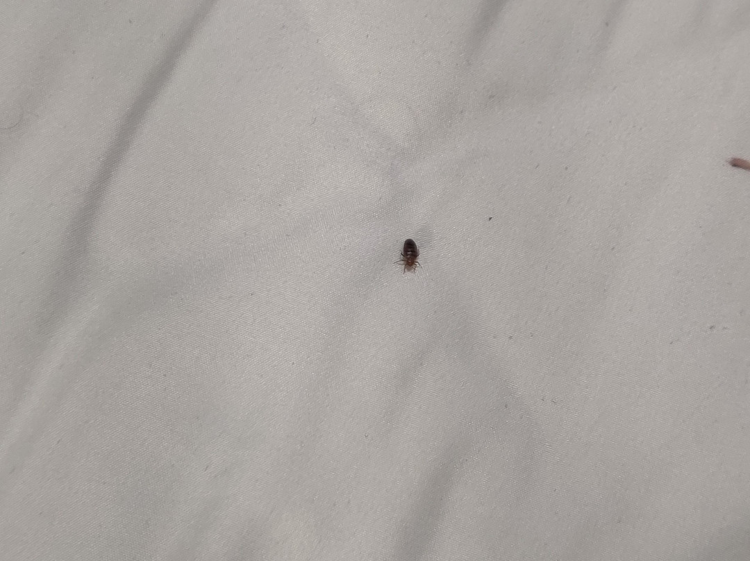 Quality Inn Marble Falls主图