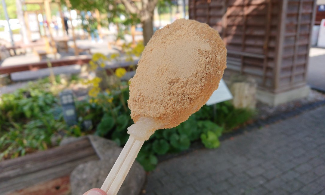 Minokamo Service Area Outer Loop Inner Loop-美浓加茂市必去景点