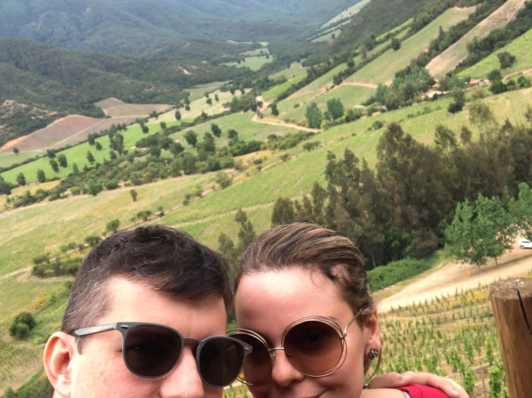 Colchagua Valley-O'Higgins Region必去景点