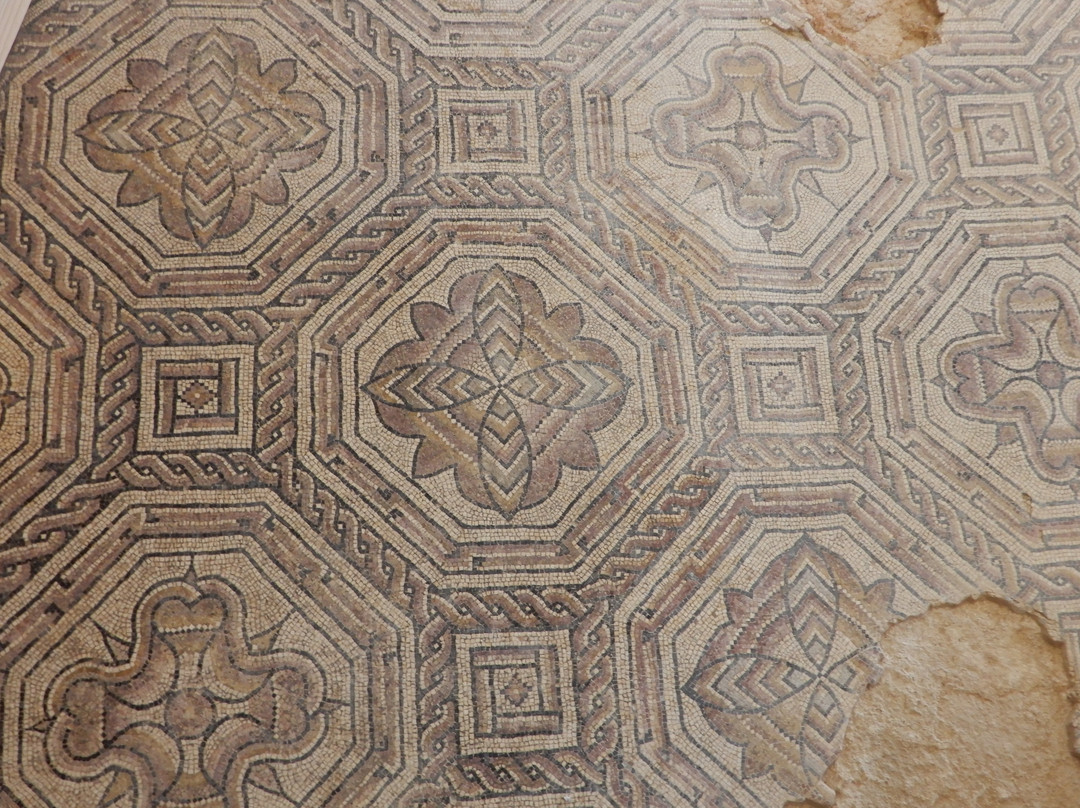 Villa Romana De Orpheus-Camarzana de Tera必去景点