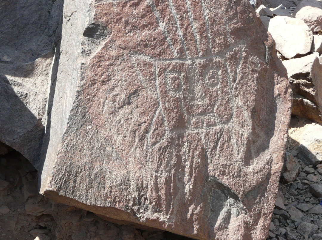 Zona Arqueológica Petroglifos de Checta