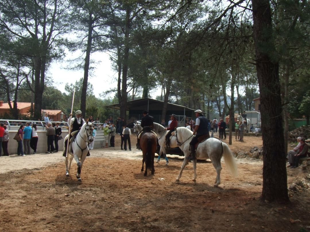 Hotel Rural Bonestar主图