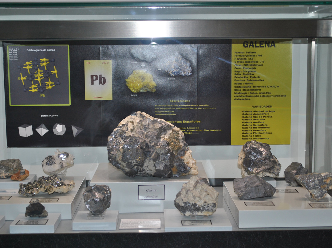 Museo de La Carolina-La Carolina必去景点