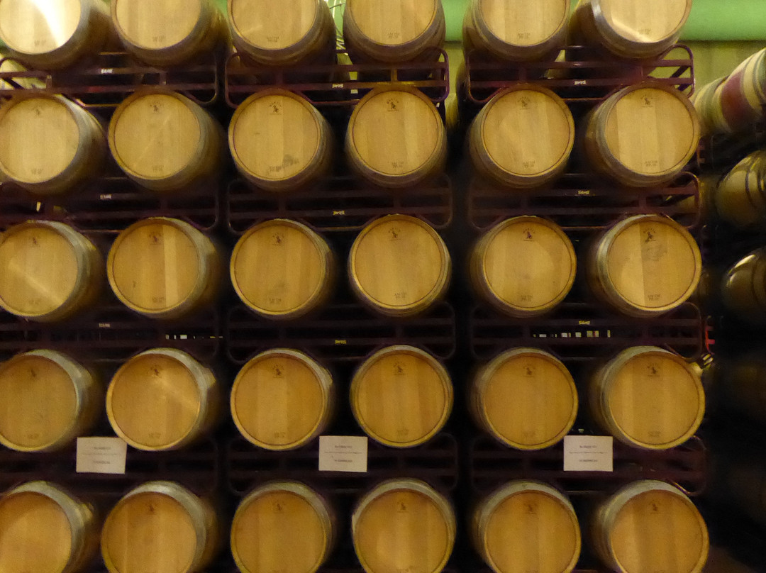 Museo del Vino景点图片