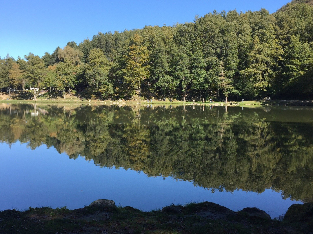 Lago Pontini景点图片