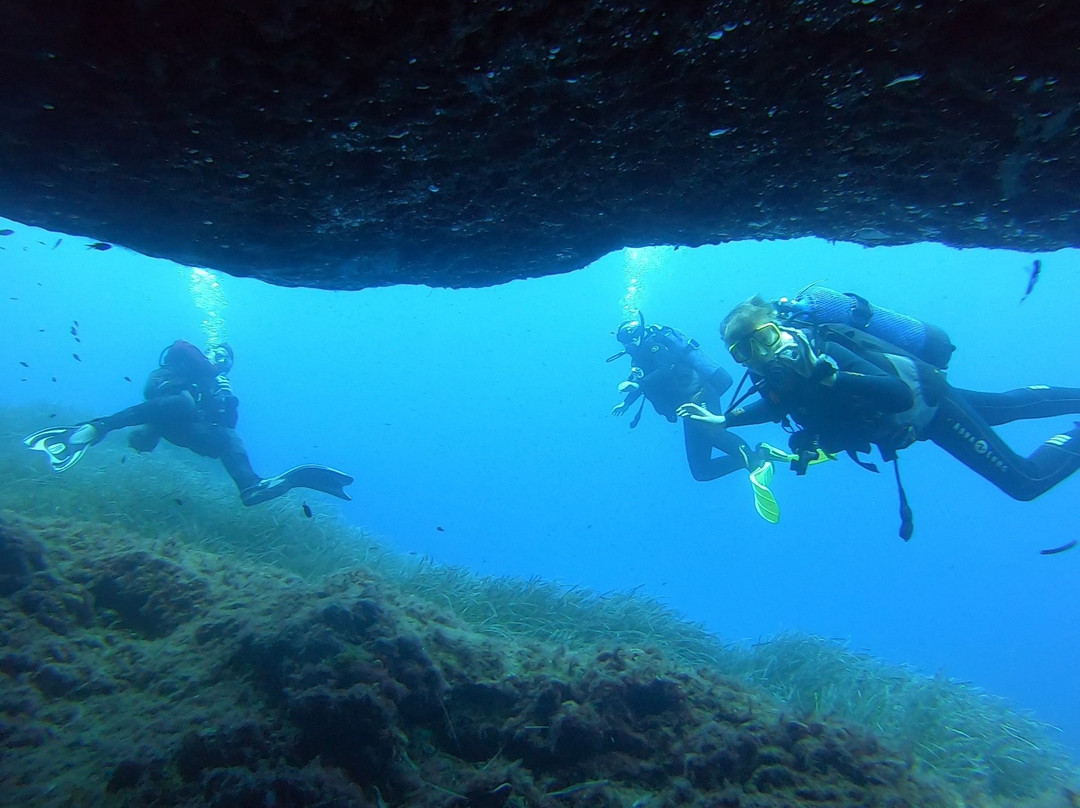 Buddies Dive Cove-Bugibba必去景点