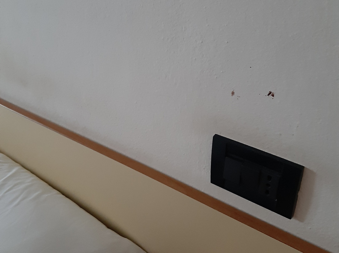 Hotel Daniela Ferrara Budget Hotel主图