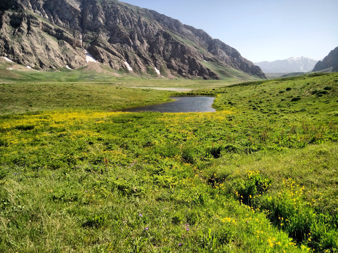 Lar National Park景点图片