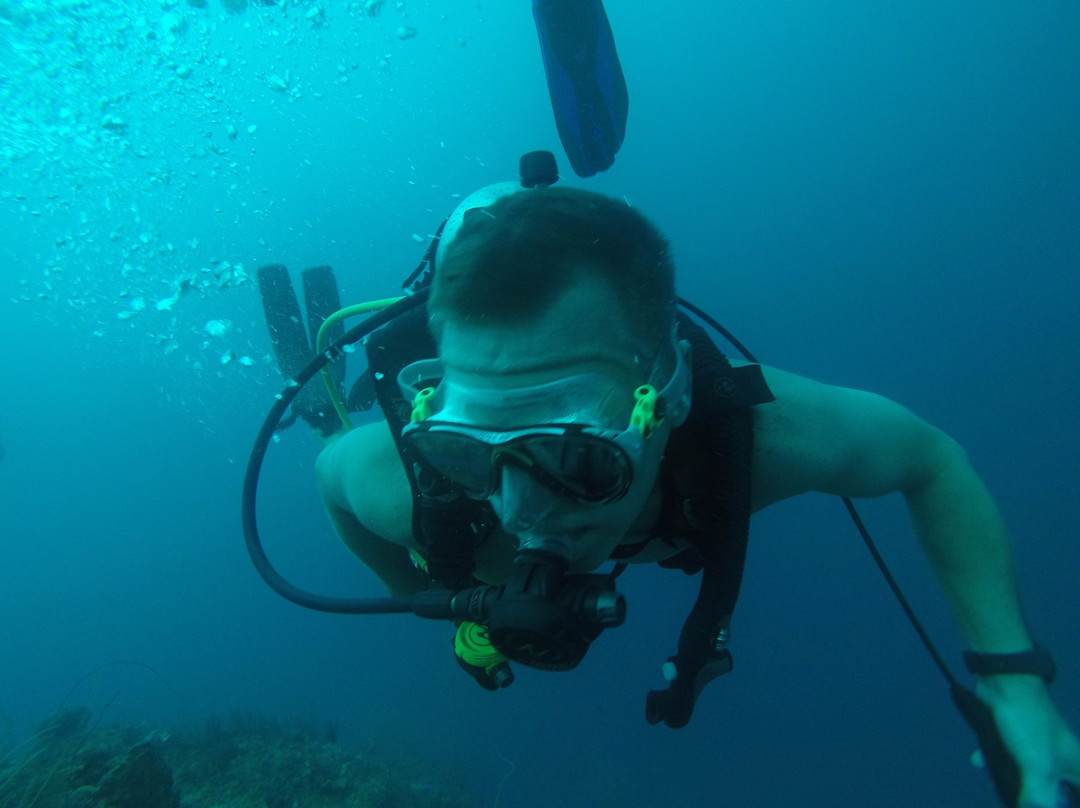 Rincon Diving & Snorkeling景点图片
