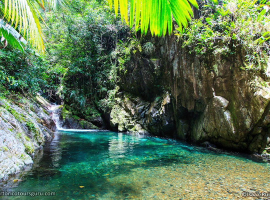 Puerto Rico Tours Guru
