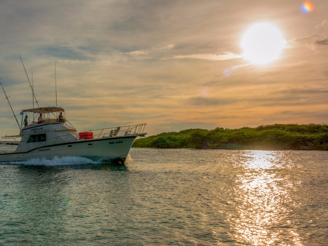 Summer Jam Private Yacht Charters-威廉斯塔德必去景点