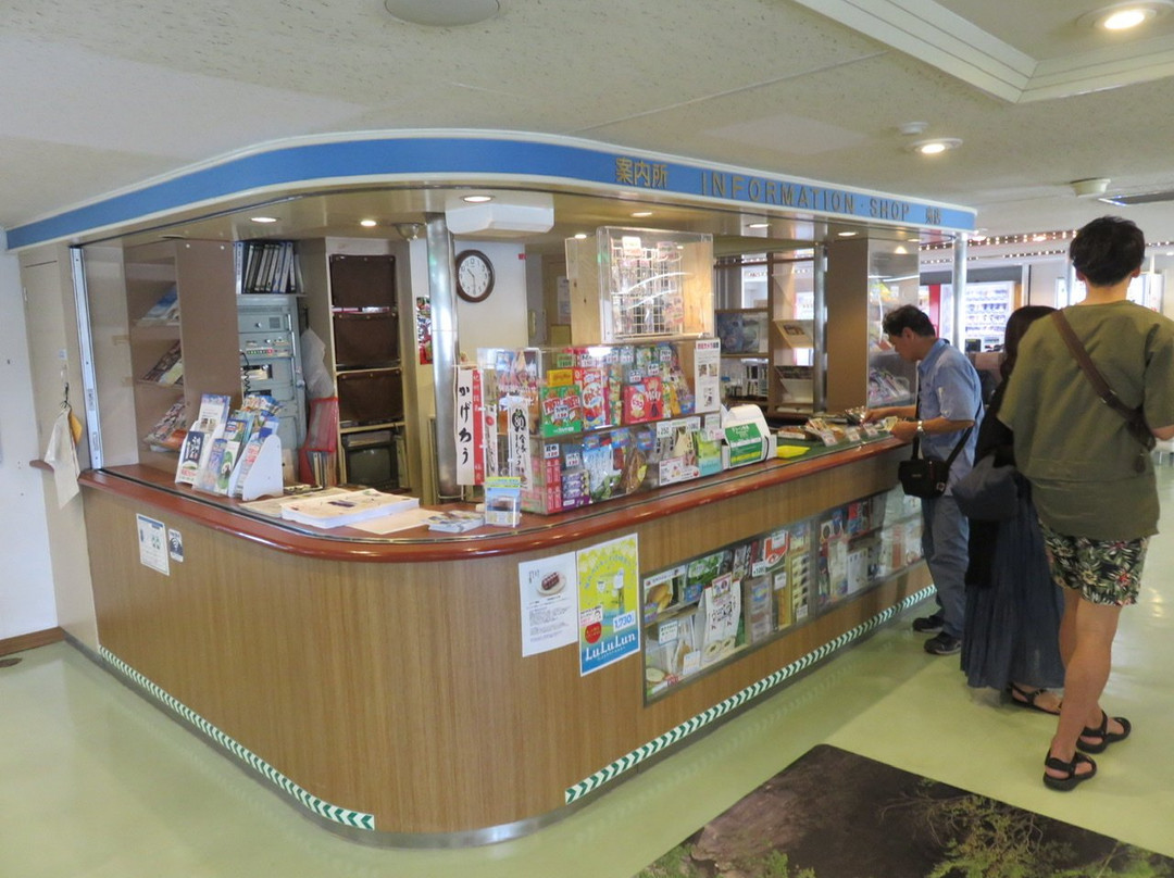 Nankai Ferry-和歌山市必去景点