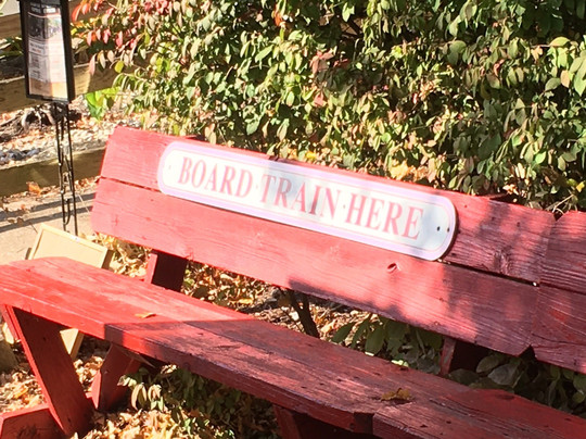 Nashville Express Train Tours-纳什维尔必去景点