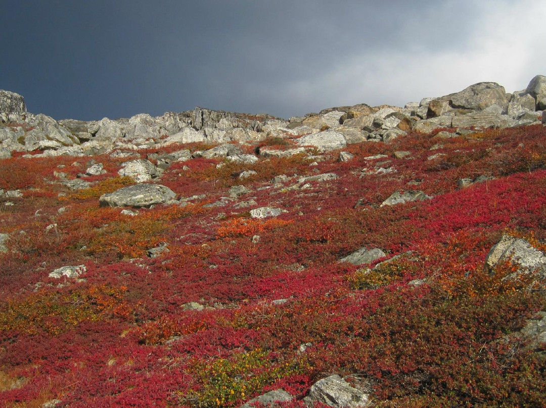 Torngat Mountains National Park景点图片