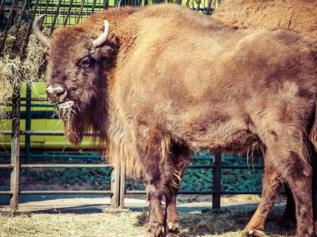 Magnuson Hotel Red Baron主图