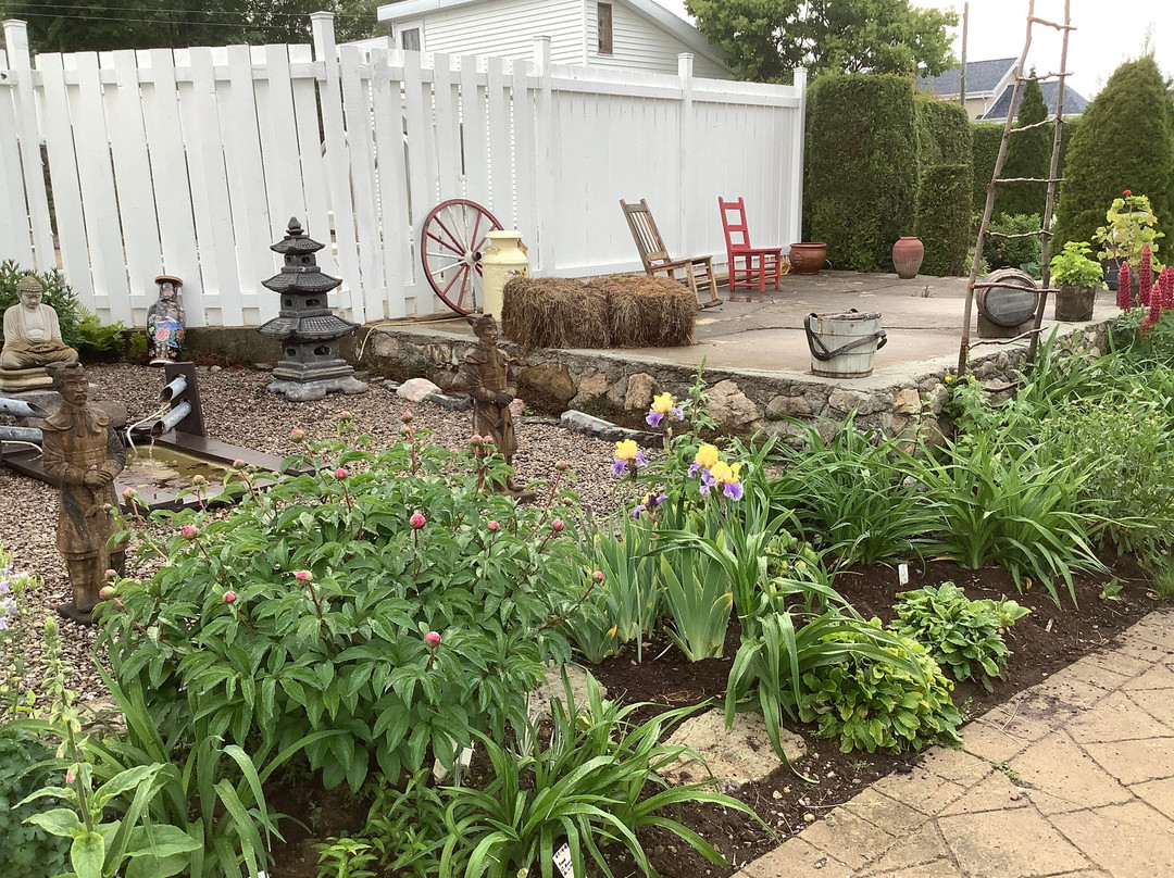 Hemerocalles Charlevoix - Jardin Jean Tremblay