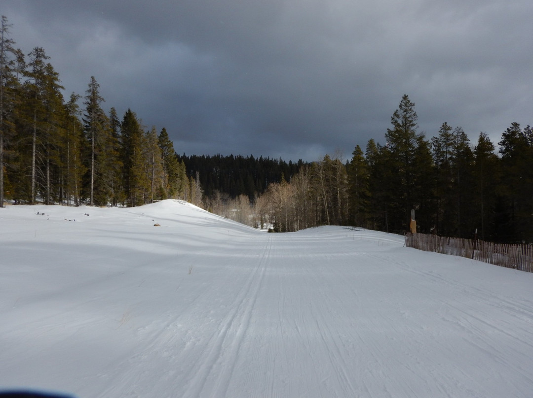Allison Lake Cross Country Ski Trails景点图片