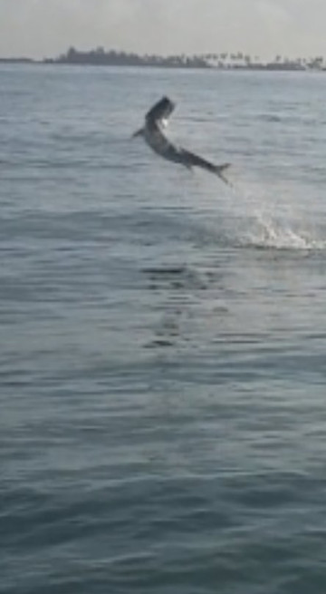 Caribbean Fishing Academy-圣胡安必去景点